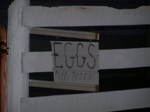 eggsign