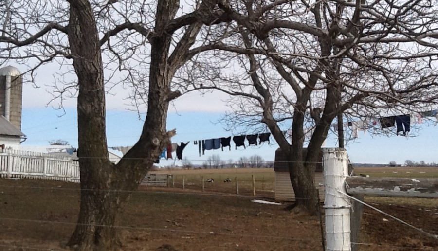 Laundry on lines