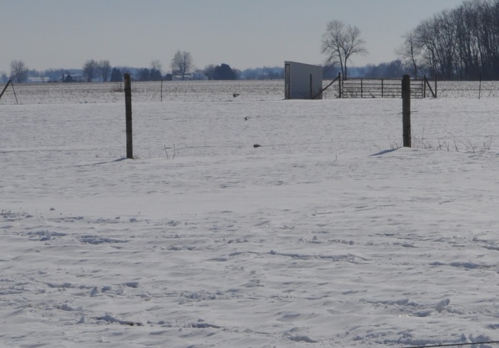 A phone shed in a distant snow-covered field