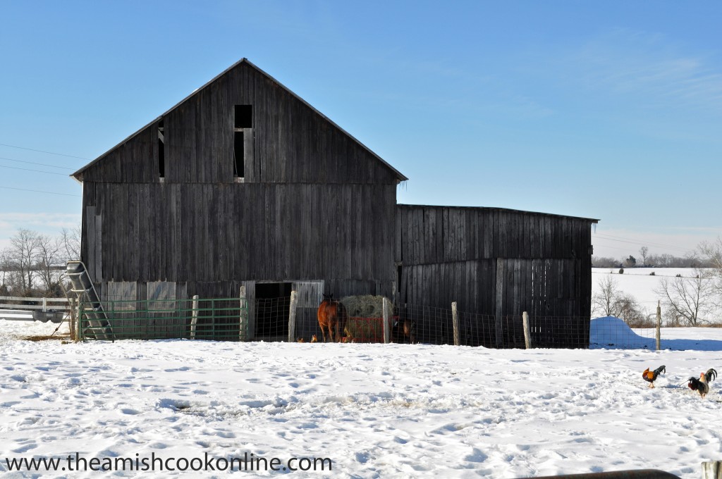 amish barn