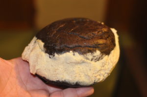 A typical Maine whoopie pie filled with fluffy  creme between two fluffy cookies.