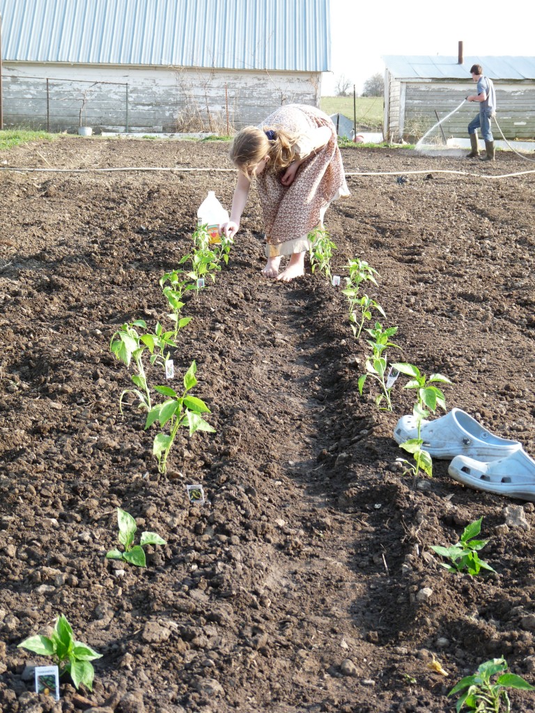 Rosanna's 14-year-old sister, Joanna, plants the garden, bare foot.