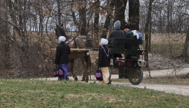 RANDOM SCENE:  School lets out in Flat Rock, Illinois, the Amish settlement where Gloria lives.