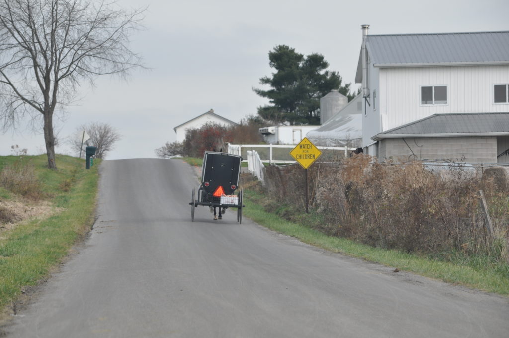 A buggy clatters down the road in Ohio's Amish country where the wedding of Loria and Michael was held.