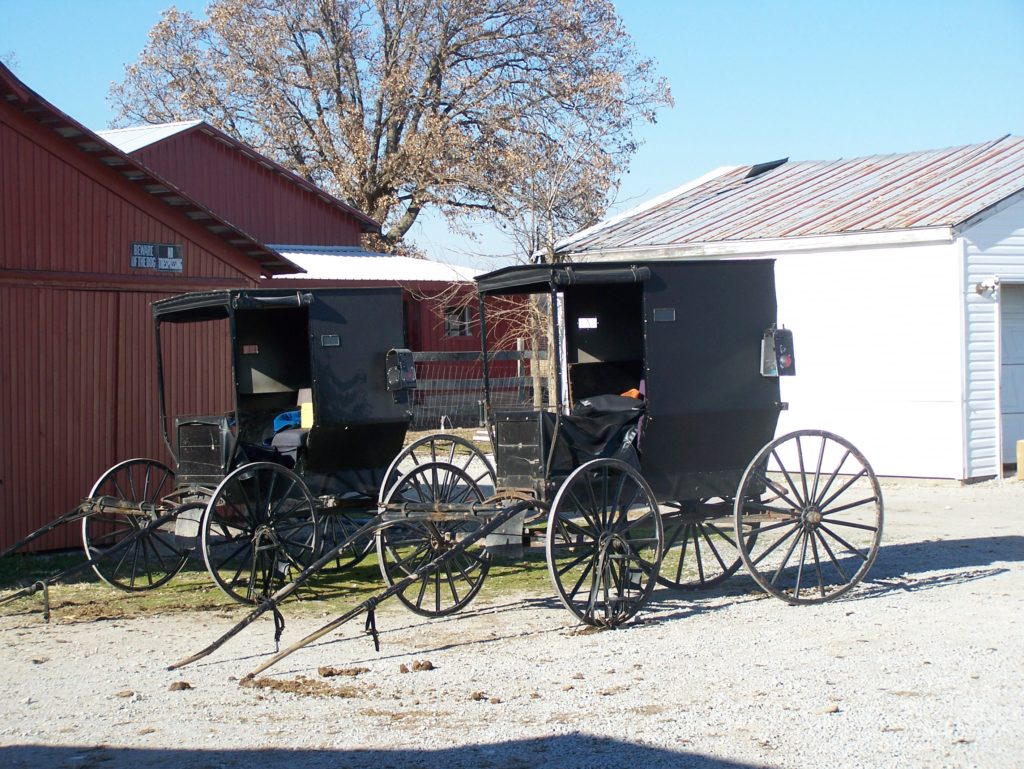 The Amish: a nuanced view from an Amish business owner.