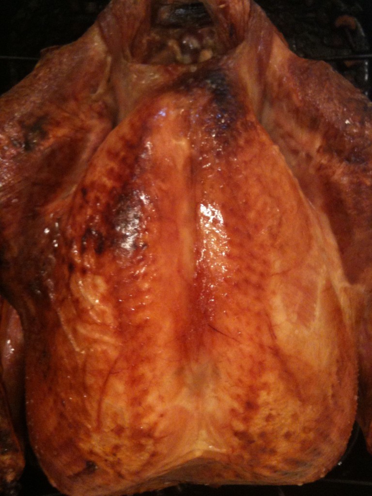 A picture of one of Rosanna's turkeys in the oven.
