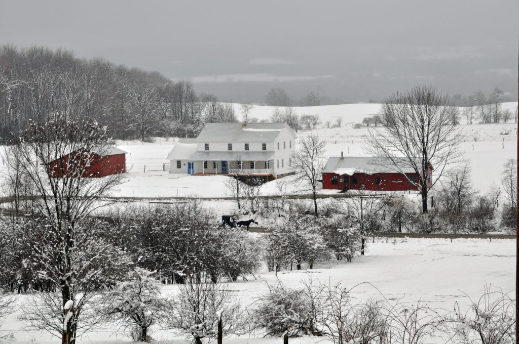 A buggy in the beautiful snow-covered Conewango Valley.