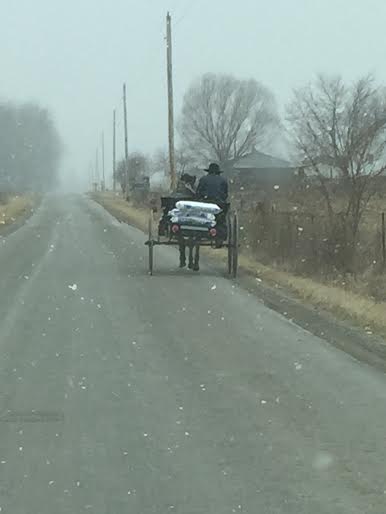 An Amish man transports some bags of something on a cold snowy day without even an umbrella to shied him from the snow and wind.