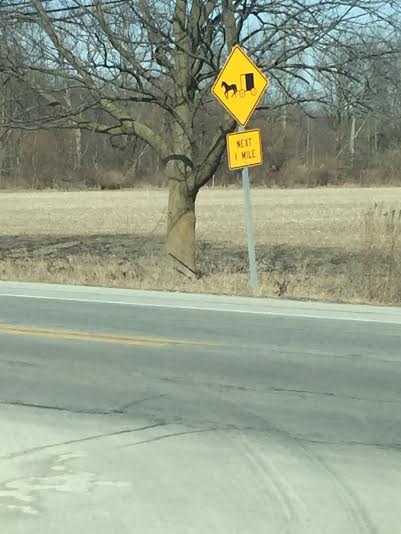 Buggy signs on heavily traveled US 35 warn motorists to be alert