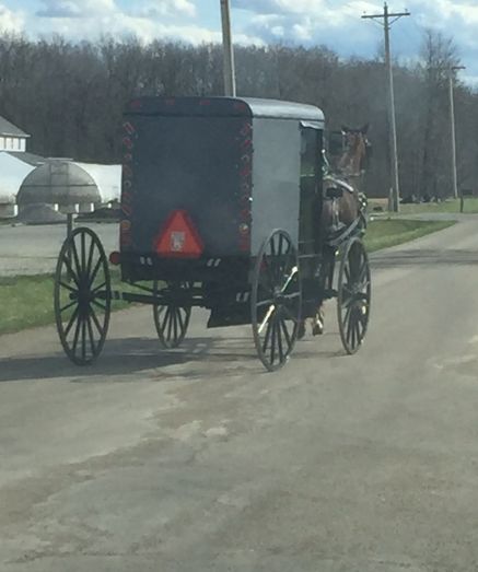 A gray-topped buggy driven by an Amish young person clatters down the road