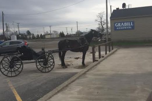 Grabill Amish