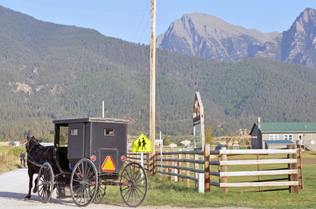Amish buggy in the New Order settlement of St. Ignatius, Montana.
