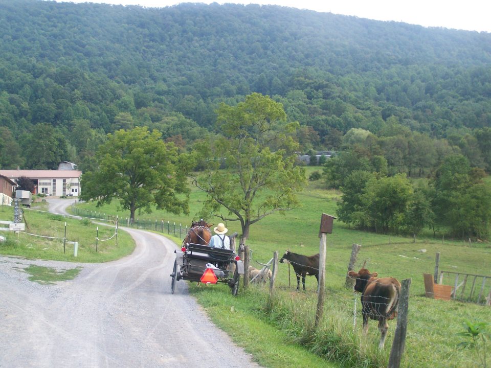 I love photo. If you guessed it was taken in the Pearisburg, Virginia Amish settlement, you are correct....beautiful Amish community tucked away at the base of Walker Mountain. I spied this buggy there about 3 years ago.