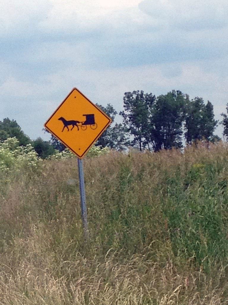Watch for buggies as you take your summer drive in Amish country.