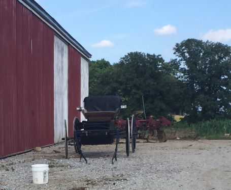 A buggy parked behind a barn, Aster christened it "broken."