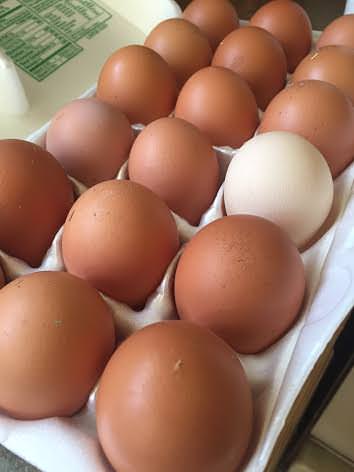 18 beautiful brown eggs with rich yellow yolks (and a lone whiteish egg)