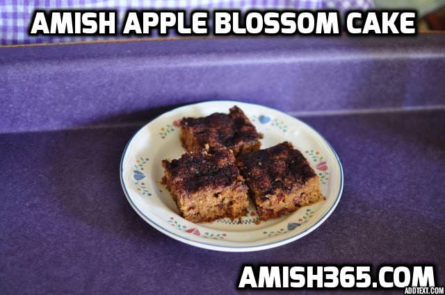 Amish Apple Blossom Cake