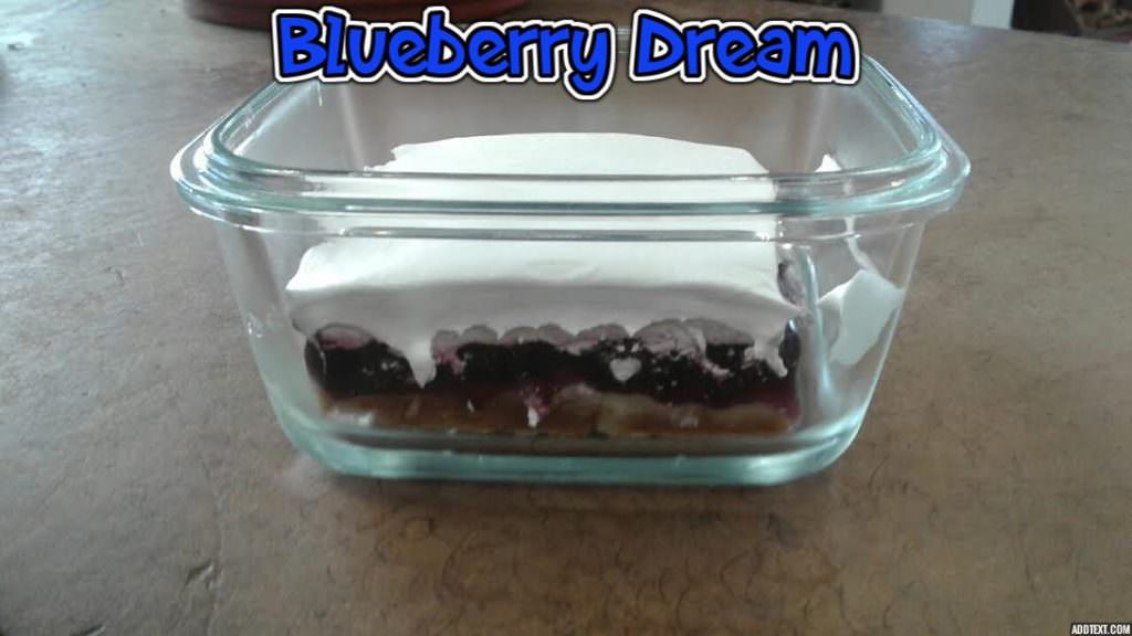 Amish Blueberry Dream Cake