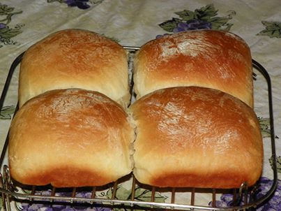 Amish Homemade Sourdough Hamburger Buns