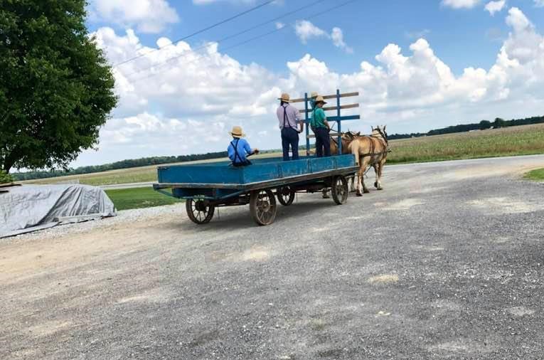 Hardin County Amish Boys on Cart