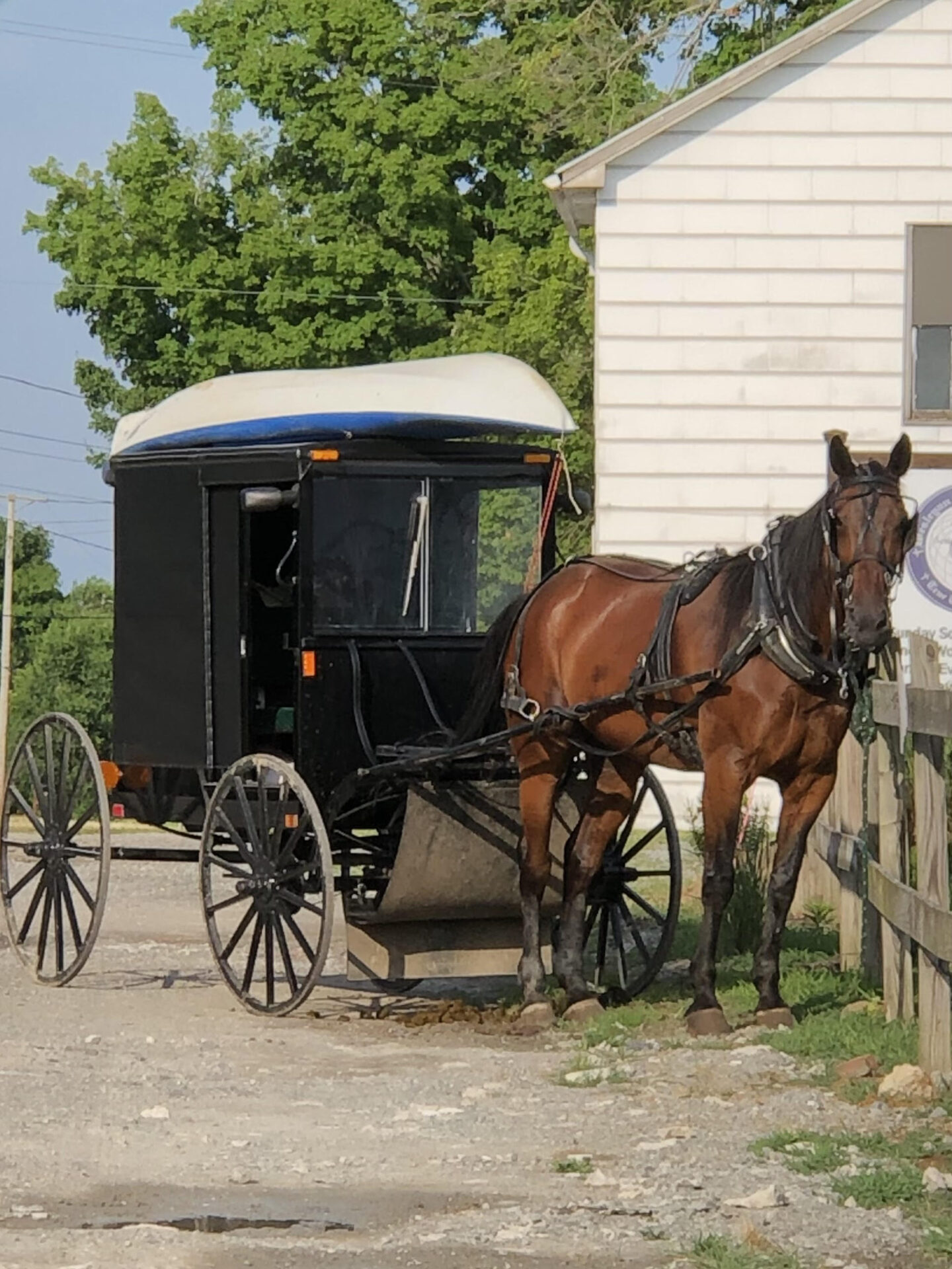 Amish Kayaking